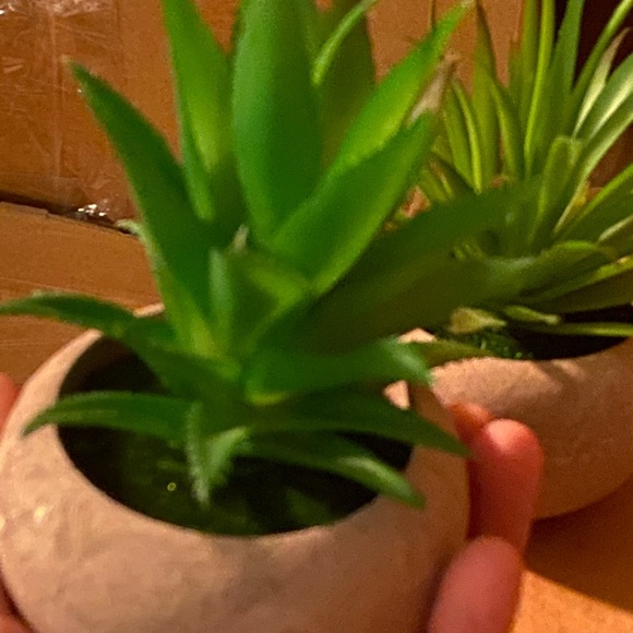Faux plants Aloe Vera x 2 - Picture 4 of 4